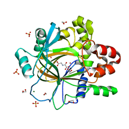 BU of 5pkp by Molmil