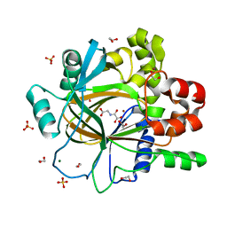 BU of 5plc by Molmil