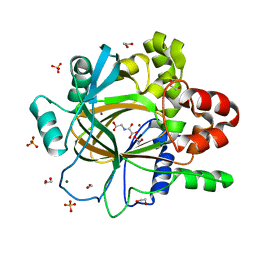 BU of 5plf by Molmil