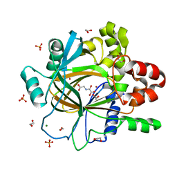 BU of 5plp by Molmil