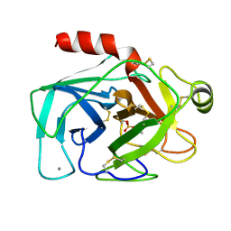 BU of 5ptp by Molmil