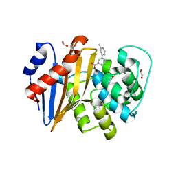 BU of 5qa5 by Molmil