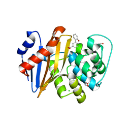 BU of 5qa6 by Molmil