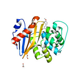 BU of 5qac by Molmil