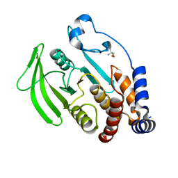 BU of 5qds by Molmil