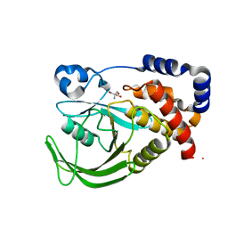 BU of 5qg1 by Molmil