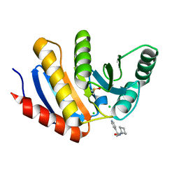 BU of 5qhv by Molmil