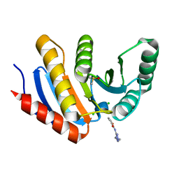 BU of 5qi3 by Molmil