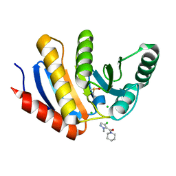 BU of 5qi9 by Molmil