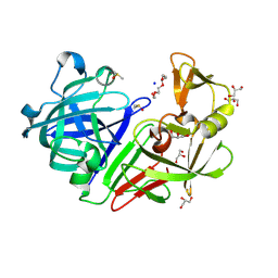 BU of 5rcd by Molmil