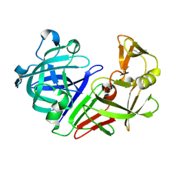 BU of 5rcm by Molmil