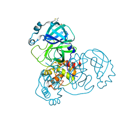 BU of 5rfc by Molmil