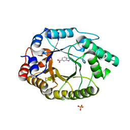 BU of 5rgb by Molmil