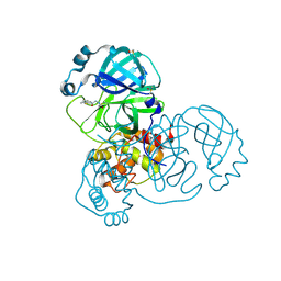 BU of 5rgm by Molmil