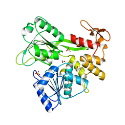 BU of 5rht by Molmil