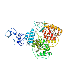 BU of 5rmd by Molmil