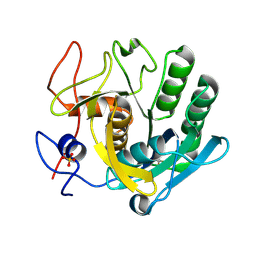 BU of 5rp3 by Molmil