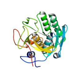 BU of 5rp9 by Molmil