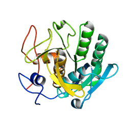 BU of 5rpc by Molmil