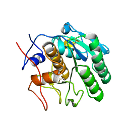 BU of 5rpd by Molmil