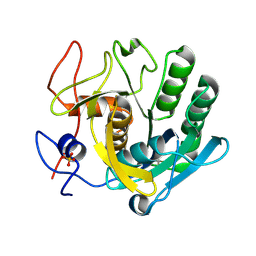 BU of 5rpi by Molmil