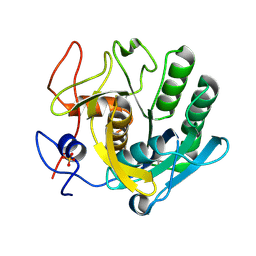 BU of 5rpv by Molmil