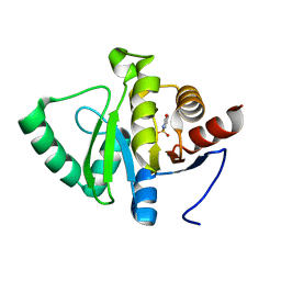 BU of 5rsp by Molmil