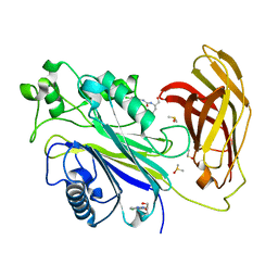 BU of 5rx4 by Molmil