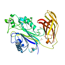 BU of 5rx6 by Molmil