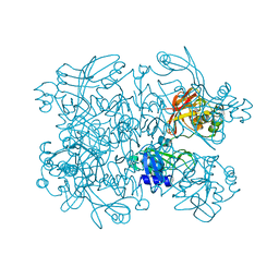 BU of 5sag by Molmil