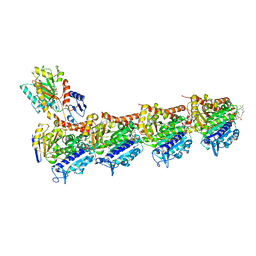 BU of 5sba by Molmil