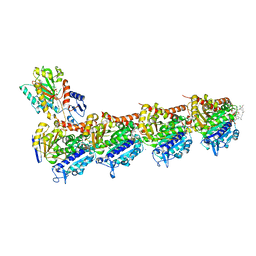 BU of 5sbd by Molmil