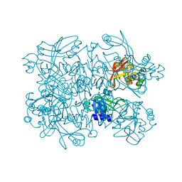 BU of 5sbf by Molmil