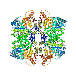 BU of 5scc by Molmil