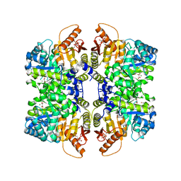 BU of 5scf by Molmil