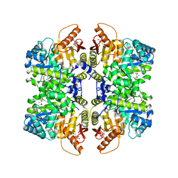 BU of 5sci by Molmil