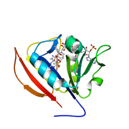 BU of 5scn by Molmil