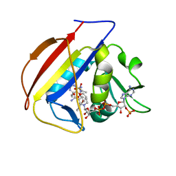 BU of 5scs by Molmil