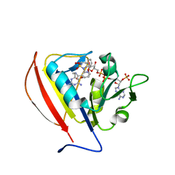 BU of 5sct by Molmil