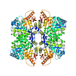 BU of 5sdt by Molmil