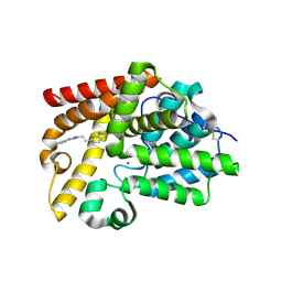 BU of 5sdx by Molmil