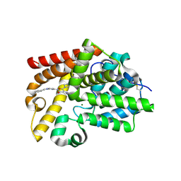 BU of 5sfc by Molmil