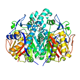 BU of 5sob by Molmil