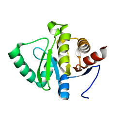 BU of 5sp9 by Molmil