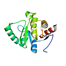 BU of 5spi by Molmil