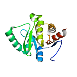 BU of 5spp by Molmil