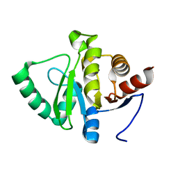 BU of 5srt by Molmil