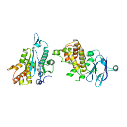 BU of 5stp by Molmil