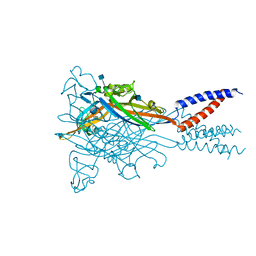 BU of 5svt by Molmil