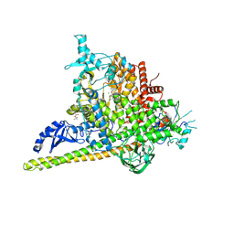 BU of 5swp by Molmil